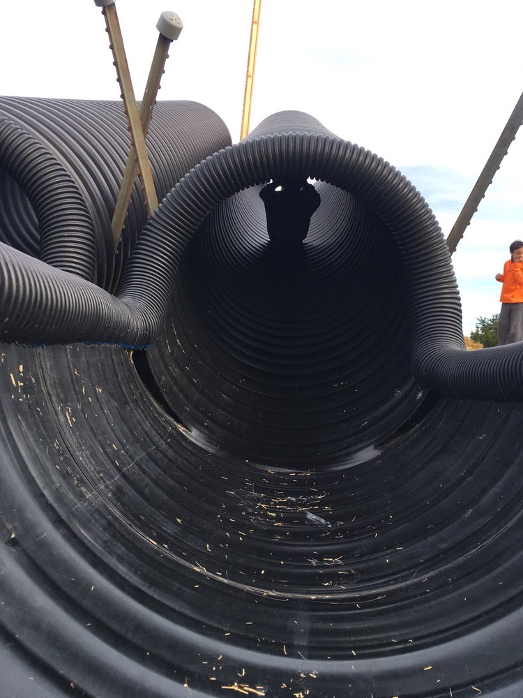 Lloyd's Pumpkin Patch Logo