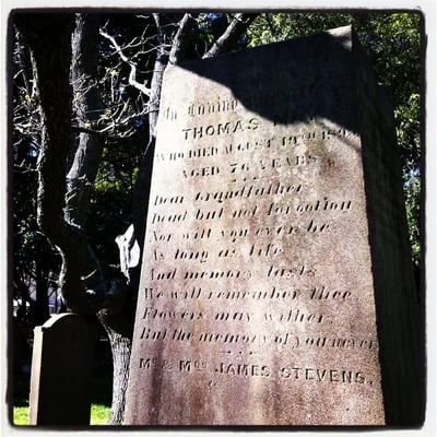 Camperdown Cemetery by null