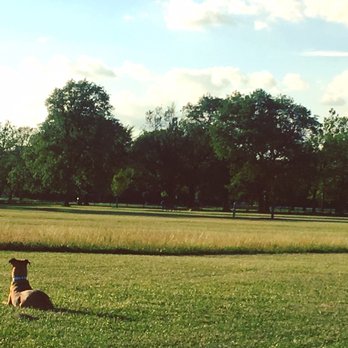Miller Meadows Dog Park - Waiting for good dog. - Dog Parks Near Me - Forest Park, Illinois