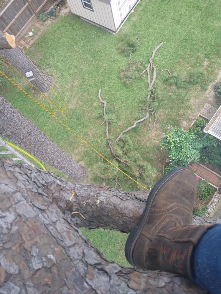 Medina Lawn & Landscape services - tree service in Houston, TX