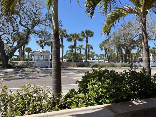 Guppy's On the Beach by null