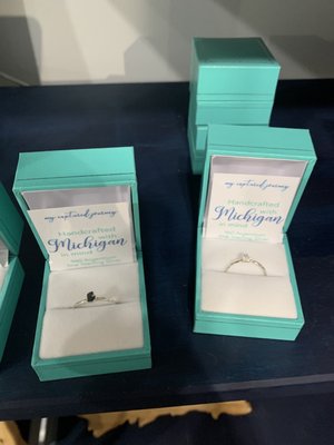 Made In The Mitten by null