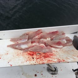 Southern Comfort Striper Guide