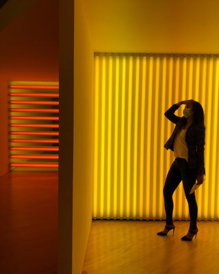Dia Bridgehampton / The Dan Flavin Art Institute by null