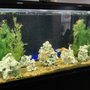 Photo of Reef Route Aquatics