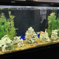 Reef Route Aquatics