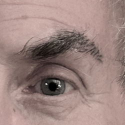 After man had no tail on brows, added tails