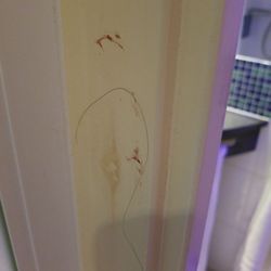 Premier Inn- London Stansted Airport Hotel - This cannot be good.