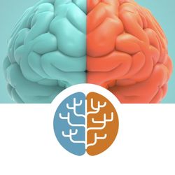 Austin Functional Wellness - We treat Brain: Austin Functional Wellness
