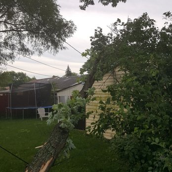 Ciosek Tree Service - Tree Services Near Me - Addison, Illinois