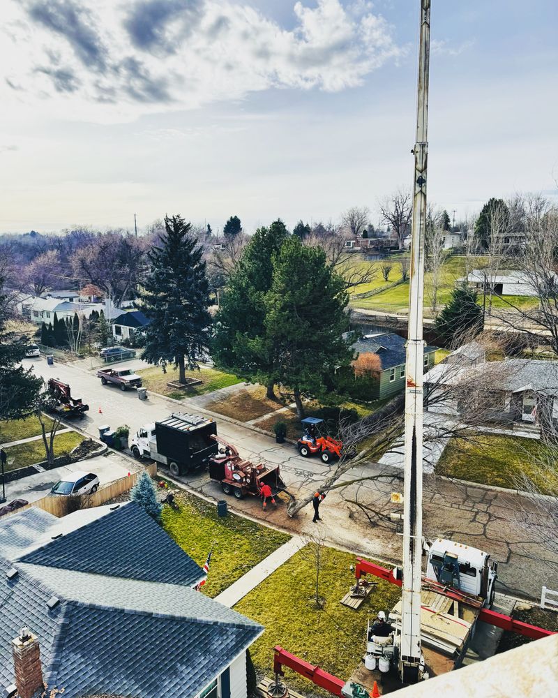 A Tree Company - tree service in Boise, ID