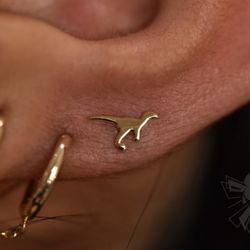 The Fall Tattooing and Piercing