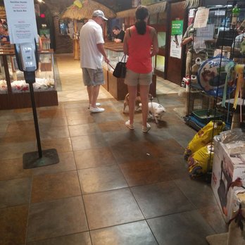 Pet Kingdom - Pet Stores Near Me - Fort Myers, Florida Pet Kingdom - Pet Stores Near Me - Fort Myers, Florida