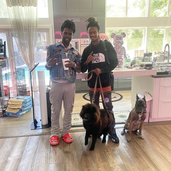 K9-INDIGO - Chief Keef we welcome you to the K9-INDIGO® HOLISTIC DOG TRAINING™ family! - Pet Training Near Me