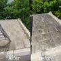 Photo of Pro Clean