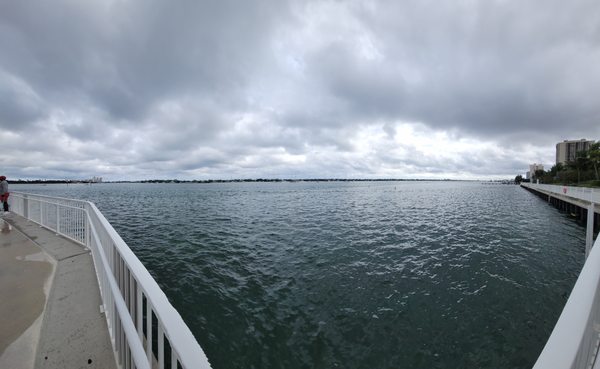 Manatee Lagoon by null