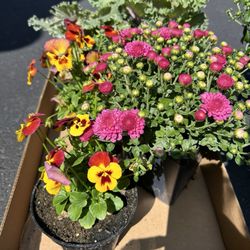 Deerfield Greenhouse & Floral