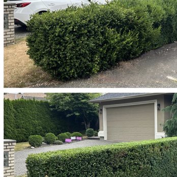 Abbrusci Landscaping - Landscaping Near Me Abbrusci Landscaping - Landscaping Near Me