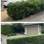 Photo of Abbrusci Landscaping