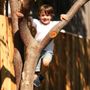 Photo of Seeds Early Learning Montessori