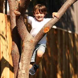 Seeds Early Learning Montessori