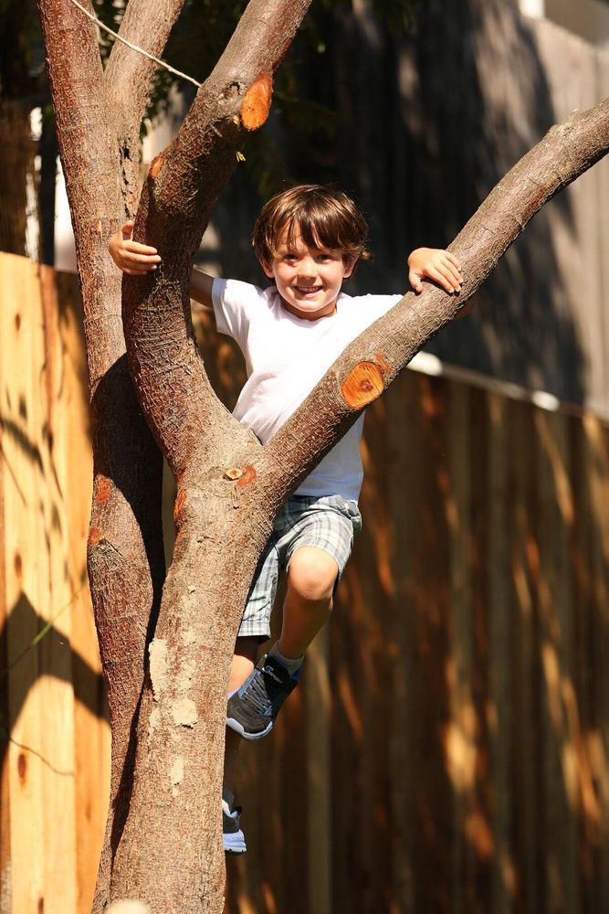 Seeds Early Learning Montessori - childcare center in Ventura, CA