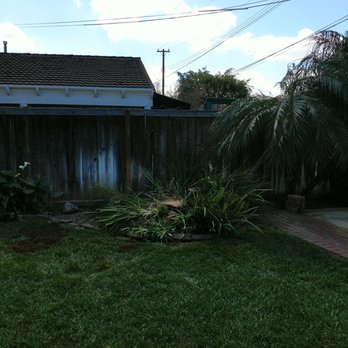Tony's BC Tree Service - After the 3 large Palm trees were cut down - Tree Services Near Me - Orange, California Tony's BC Tree Service - After the 3 large Palm trees were cut down - Tree Services Near Me - Orange, California