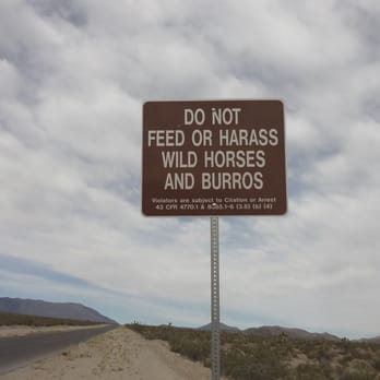 Bonanza Trail - Hiking Near Me - Las Vegas, Nevada Bonanza Trail - Hiking Near Me - Las Vegas, Nevada