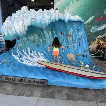 Clearwater Marine Aquarium - Aquariums Near Me - Clearwater, Florida