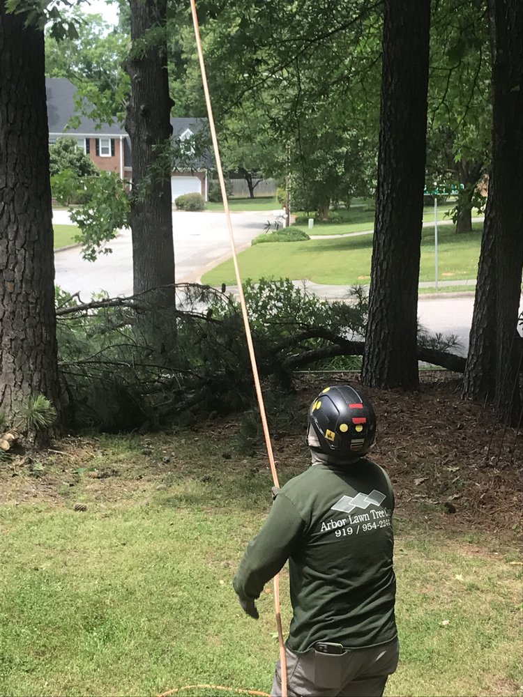 Arbor Lawn - tree service in Raleigh, NC