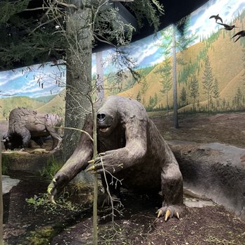 Cincinnati Museum Center at Union Terminal - Museum of Natural History - Venues & Event Spaces Near Me - Cincinnati, Ohio