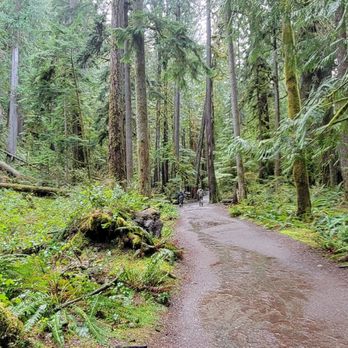 Evergreen Escapes - Tours Near Me - Seattle, Washington