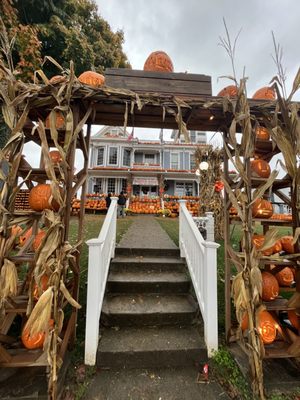 Kenova's Pumpkin House by null