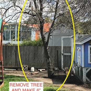 East Bay Landscaping Services - Before - Landscaping Near Me - San Pablo, California