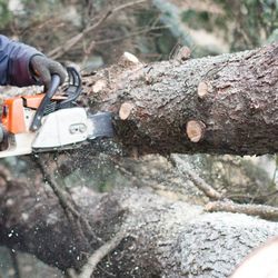 Sexton Tree and Outdoor Services