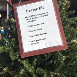 Bohman Christmas Tree Farm