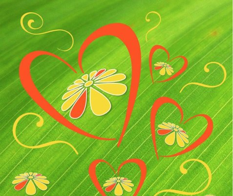 Lovely Day Spa by null