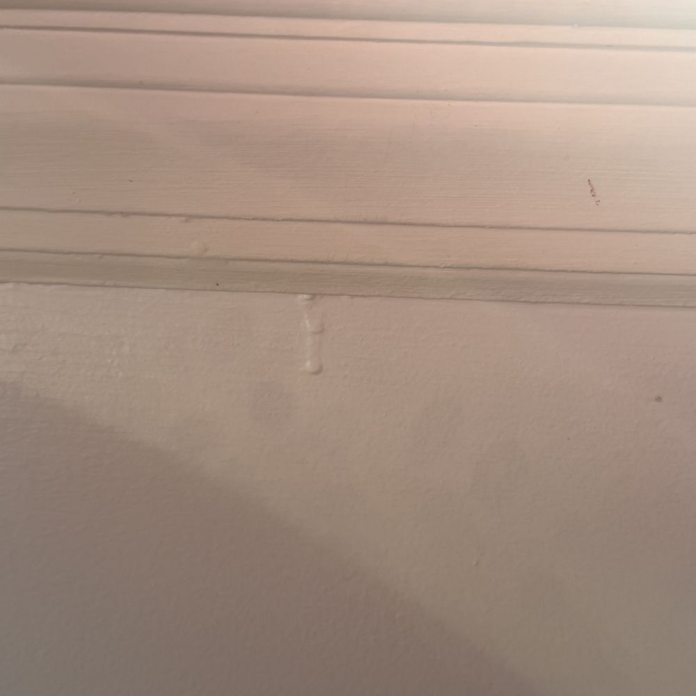 Mike's Got it - Dripping of paint - Painters Near Me Mike's Got it - Dripping of paint - Painters Near Me