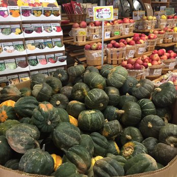Tomion's Farm Market - Squash. Yummy - Fruits & Veggies Near Me - Penn Yan, New York Tomion's Farm Market - Squash. Yummy - Fruits & Veggies Near Me - Penn Yan, New York