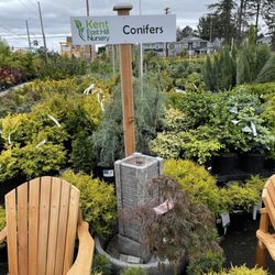 Kent East Hill Nursery