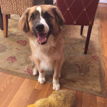 House Vets For House Pets - Veterinarians Near Me - Cincinnati, Ohio House Vets For House Pets - Veterinarians Near Me - Cincinnati, Ohio
