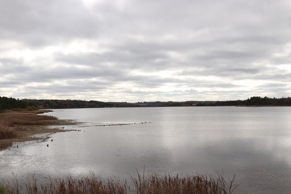 Island Lake Conservation Area by null