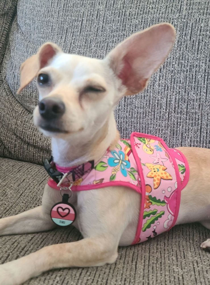 DISCOUNT FABRIC WAREHOUSE Updated August 2024 15 Photos & 22