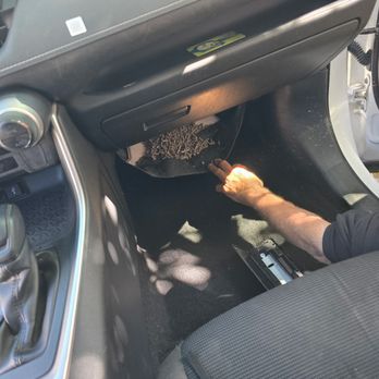 Paul's Mobile Detailing - during (rodent repellent) - Auto Detailing Near Me - San Francisco, California
