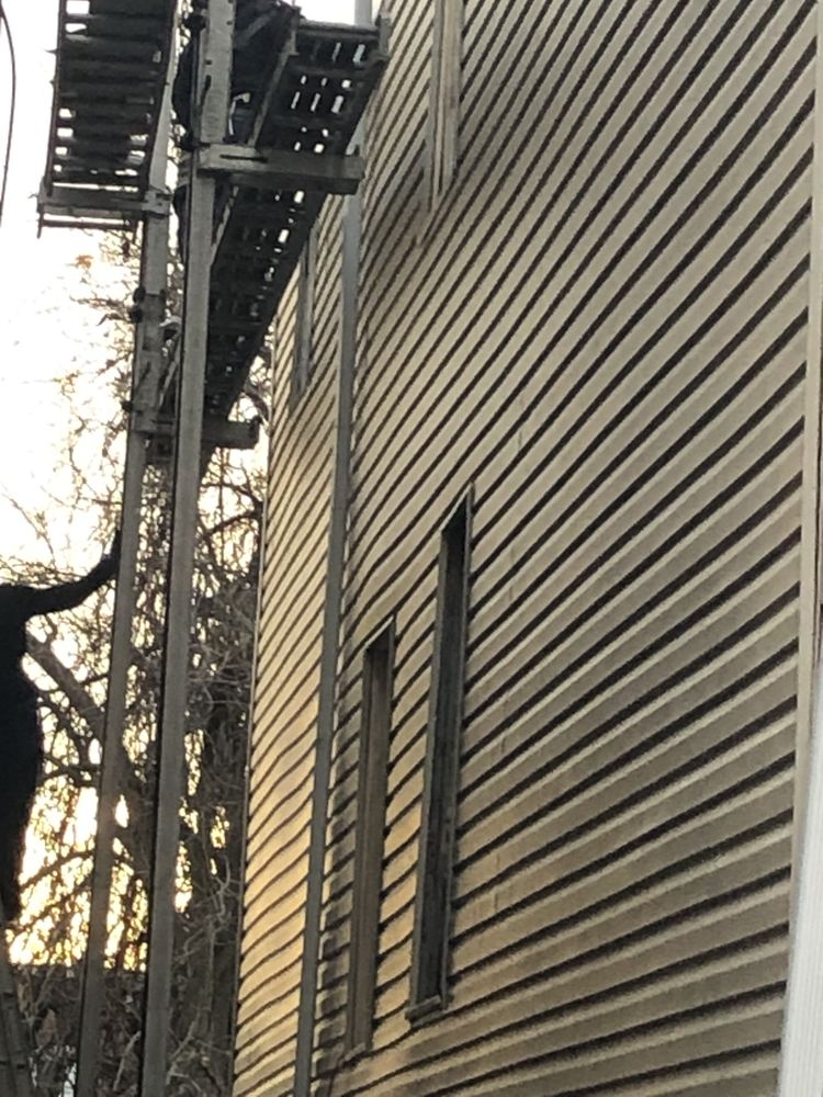 Slide of Brown Home Improvement