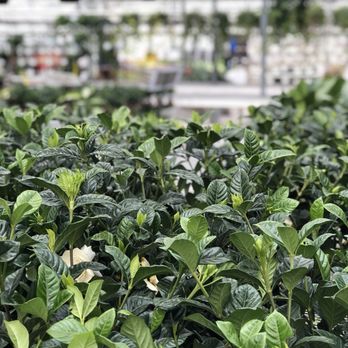 Valleyview Gardens - Nurseries & Gardening Near Me - Markham, Ontario