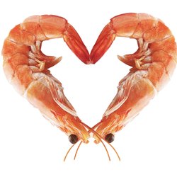 Sneads Ferry Shrimp Festival