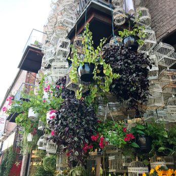 Dragon Flowers - Florists Near Me - Montreal, Quebec Dragon Flowers - Florists Near Me - Montreal, Quebec