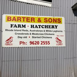 Barter & Son - sign on shed