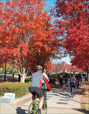 Bicycle Tours of Atlanta by null